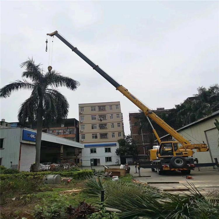 旺苍汽车吊出租多少钱？全面解析与市场行情